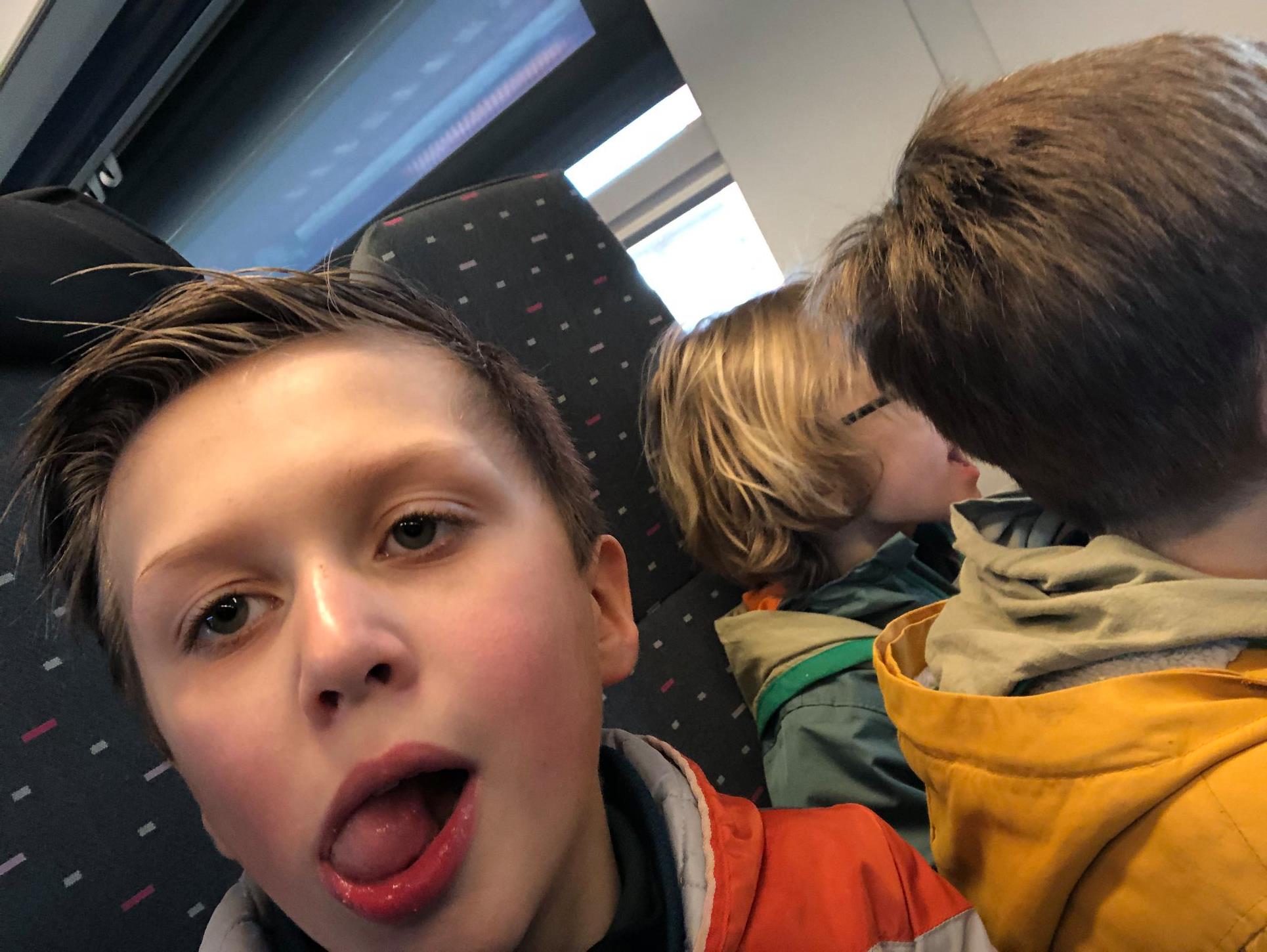 Sint-Martinus den XIIde - Zoo Antwerpen Kapoenen